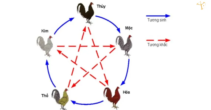 Tổng hợp cách xem ngày đá gà tốt nhất